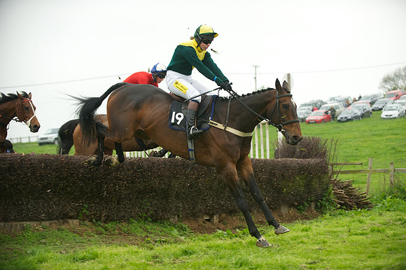 Race 2 - Novices 33