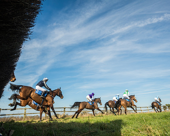 Race 3 - Ladies Open (56 of 156)