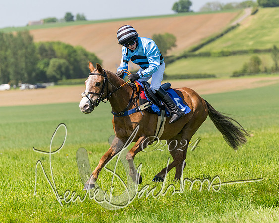 Pony Races  (51 of 141)