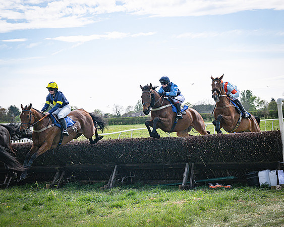 Race 3 - The Richardsons chartered Accountants Conditions Race [Level Three] for Novice Riders (32 of 117)
