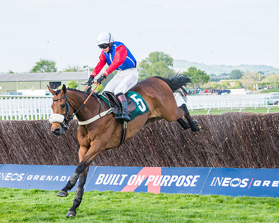 Race 1 - The open Hunter chase  (64 of 95)