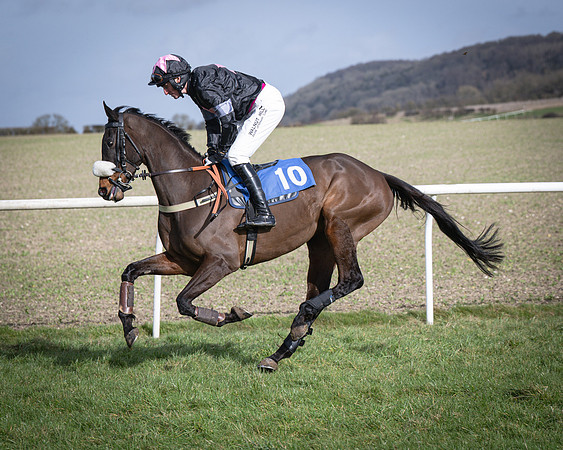 Race 3 - The Maiden Conditions (42 of 214)