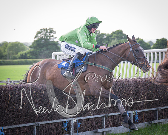 Race 6 - Thorn Plant Hire Maiden Race (107 of 129)