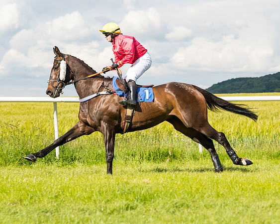 Race 5 - Restricted  (33 of 136)