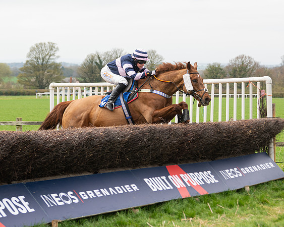 Race 2 - Veteran Horse (99 of 153)