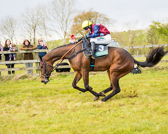 Race 5 - Restricted  (63 of 118)