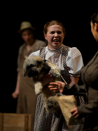 The Wizard of OZ -  24