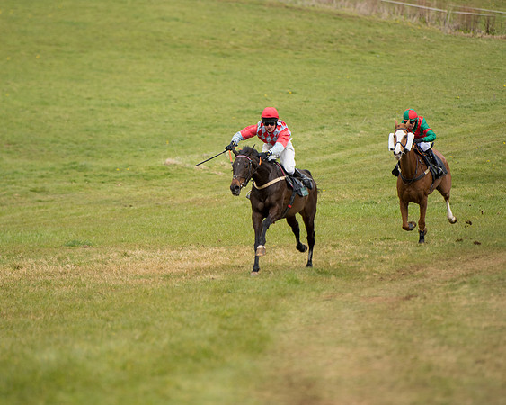 Race 3 - Owner Trainer conditions (76 of 132)