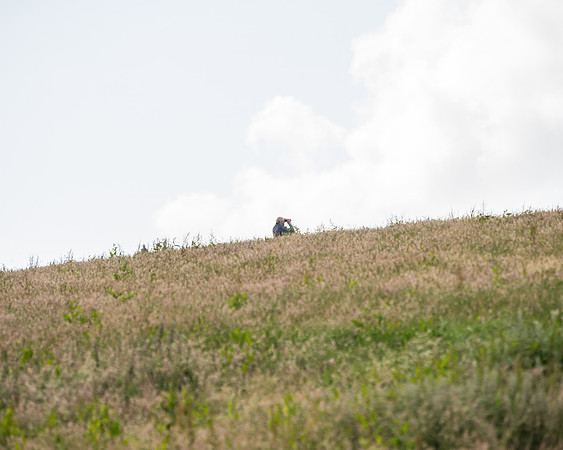 TFH (256 of 460)