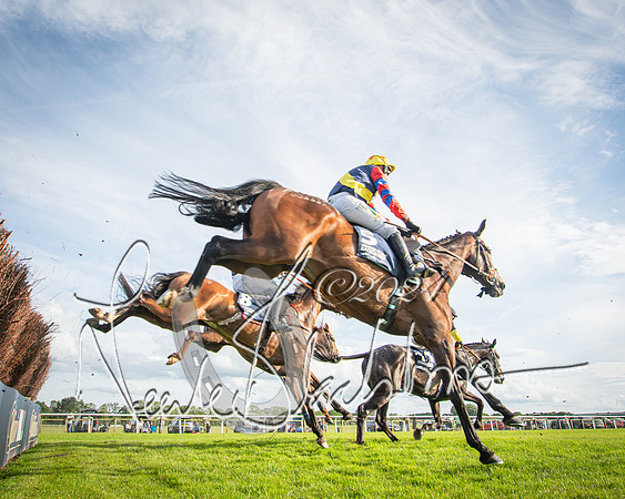 Race 3 - The pointtopoint.co.uk champion novices’ Hunter Chase (100 of 140)