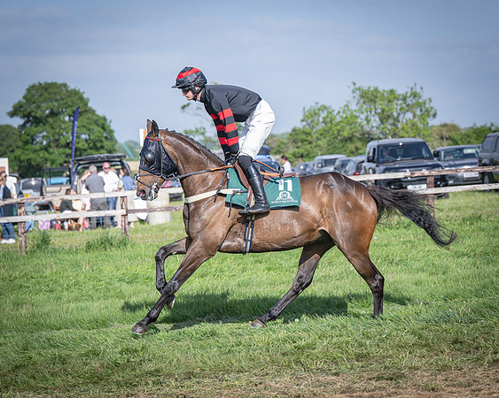 Race 6 - 2m5f Conditions (25 of 70)
