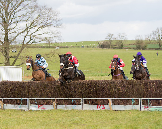Race 2 - Young Horse Maiden (32 of 104)