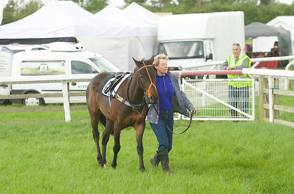 Pony Race - 2    8