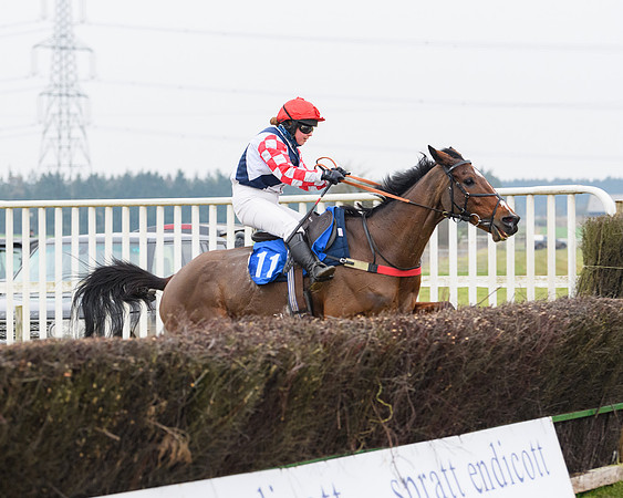 Race 4 - Ladies Open  (39 of 91)
