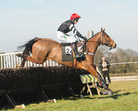 Race 1 Div 1 - 2M4F Maiden (65 of 117).jpg