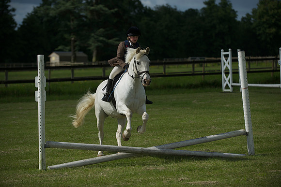 SOHS PC Summer Show at BCA 17th June 2012