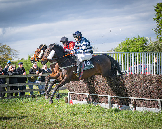 Race 5 - F N Pile and Sons PPORA Novice Riders (88 of 151)