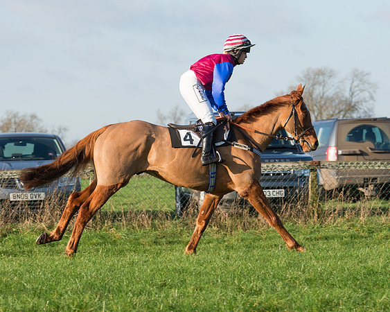 Mr Druid again-152