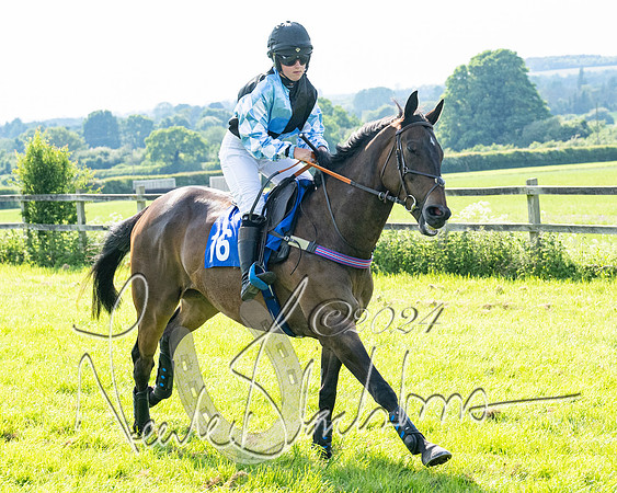 Race 5  - Maiden race 2m5F Div-2 (89 of 205)