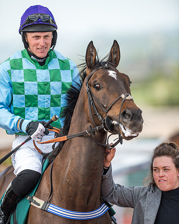 Race 2  -  Intermediate Point to Point Hunters' Steeple Chase (59 of 277)