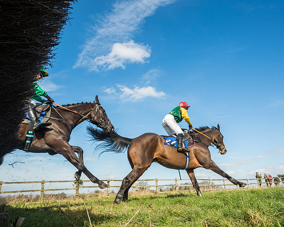 Race 1 - Open Maiden Division 1 (133 of 170)