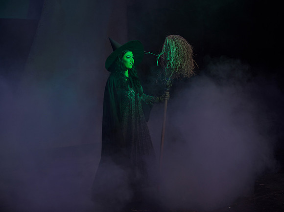 The Wizard of OZ -  278