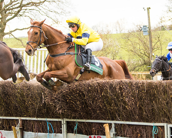 Race 6 - 6 year old and over Maiden 2m4f (18 of 62)