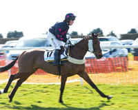Race 2 - Open Maiden Div 2 (19 of 124).jpg