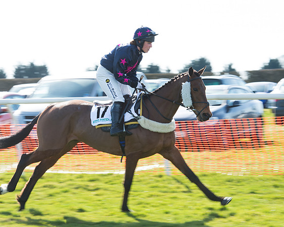 Race 2 - Open Maiden Div 2 (19 of 124).jpg