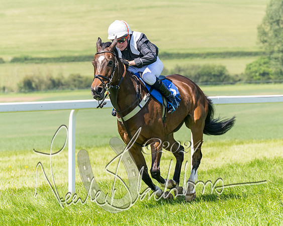 Pony Races  (101 of 141)
