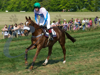 picture-11