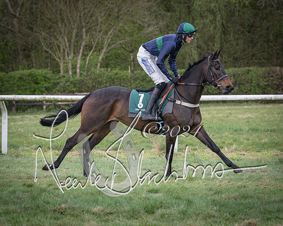 Race 7 - The Jockey Club maiden race for Mares and Fillies only (7 of 96)