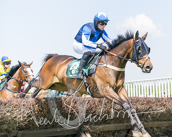 Race 2 - The Maiden  (160 of 442)