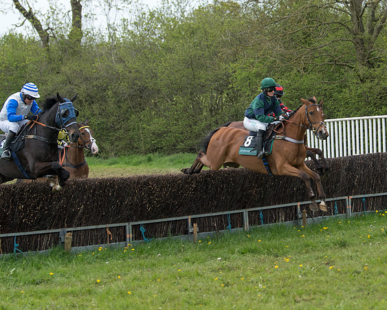 Race 2 - Jockey Club ROR veteran Horse (32 of 104)