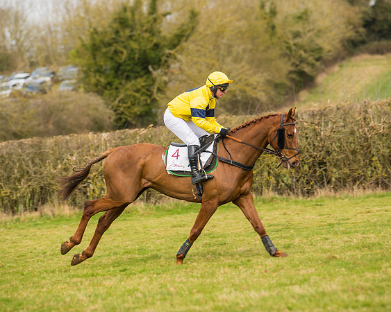 Race 2 - Open Maiden (11 of 128)