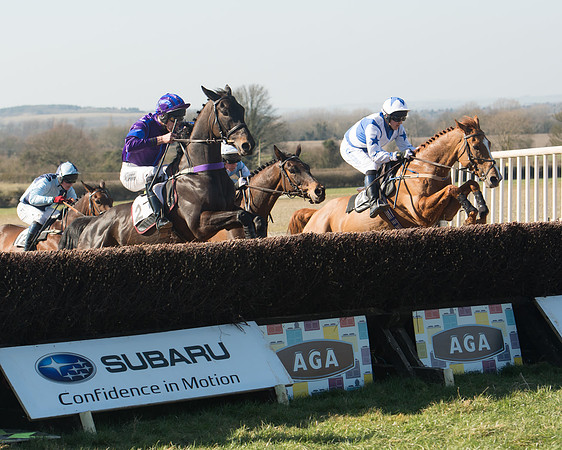 Race 1 Div 1 - 2M4F Maiden (66 of 117).jpg
