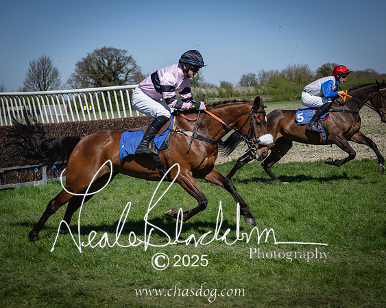 Race 2 - The Maiden (66 of 118)