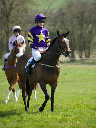Pony Race 3 -  17