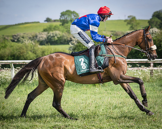 Race 5 - Restricted (47 of 116)