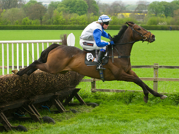 Kimblewick Hunts Point to Point at Kingston Blount Racecourse on Saturday 12th April 2014 Race 1 Confined Hunts Race.