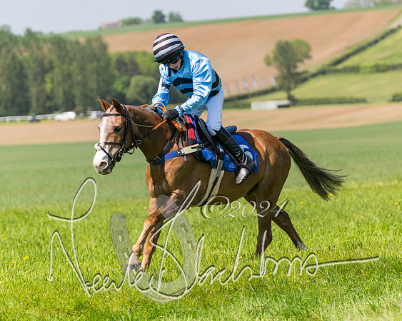 Pony Races  (52 of 141)
