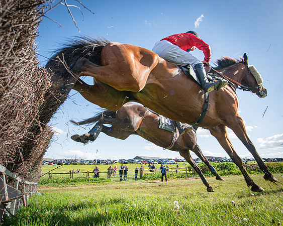 Race 5 - F N Pile and Sons PPORA Novice Riders (86 of 151)
