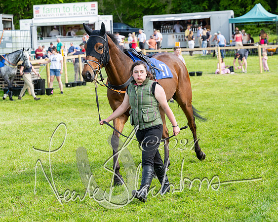 Race 5  - Maiden race 2m5F Div-1 (3 of 197)