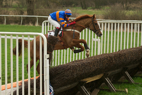 Race 5 - 55