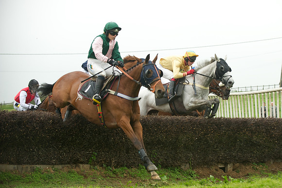 Race 5 - Restricted 33