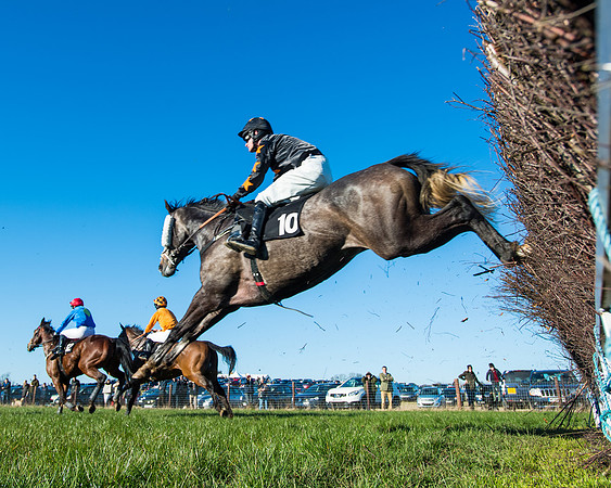 Race 6 - Restricted  (105 of 291)
