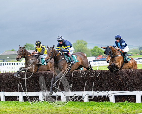 Race 5 - Mares Open  (40 of 129)