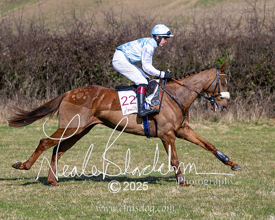 Race 1 - Maiden (69 of 188)