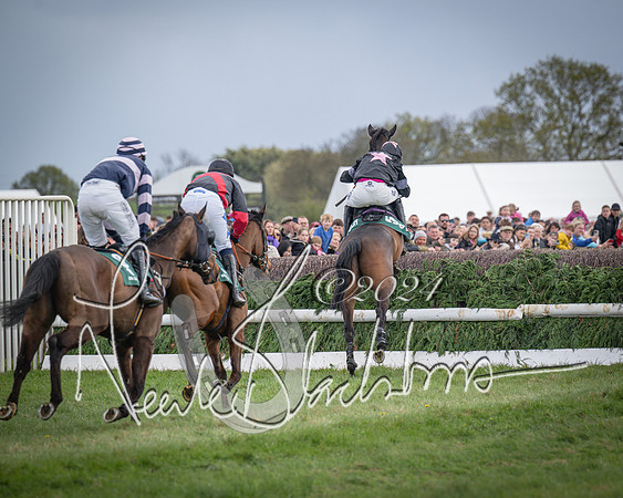 Race 3 - 5 years old and Over Maiden Race (52 of 130)
