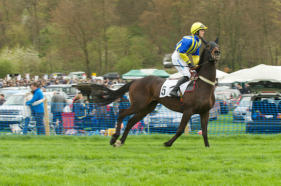 Kimblewick Point to Point at Kingston Blount Racecourse on Saturday 12th April 2014